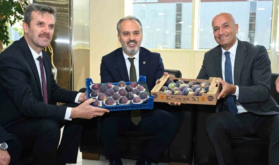 BURSA BÜYÜKŞEHİR BELEDİYESİ’NİN DESTEKLERİYLE, BURSA TARIM PEYZAJ A.Ş, ULUDAĞ YAŞ