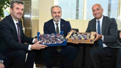 BURSA BÜYÜKŞEHİR BELEDİYESİ’NİN DESTEKLERİYLE, BURSA TARIM PEYZAJ A.Ş, ULUDAĞ YAŞ