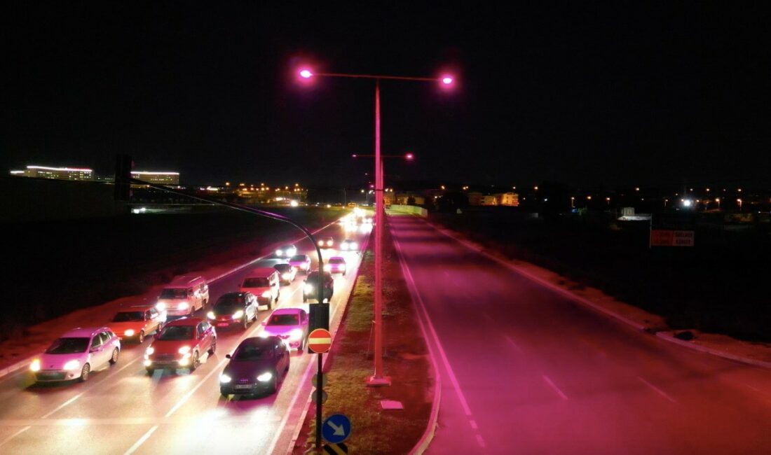 Bursa’da sokak lambaları pembe yandı Dünyada her 8 kadından birinin yakalanma riski taşıdığı meme kanserine