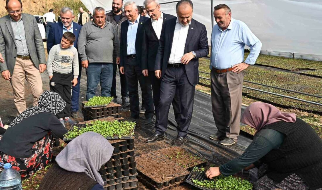BURSA’NIN PARK, BAHÇE, KAVŞAK VE REFÜJLERİNİ SÜSLEYEN ÇİÇEKLER, KELESLİ ÇİFTÇİLERİN