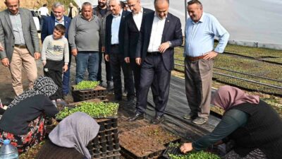 BURSA’NIN PARK, BAHÇE, KAVŞAK VE REFÜJLERİNİ SÜSLEYEN ÇİÇEKLER, KELESLİ ÇİFTÇİLERİN