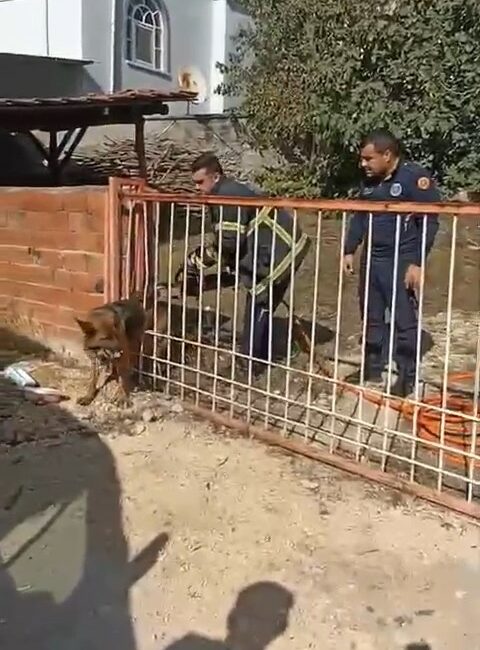 Bursa’da demir kapıya sıkışan köpeği itfaiye kurtardı Bursa’da bir evin bahçesindeki demir kapıya sıkışan köpeği, sahibinin ihbarı