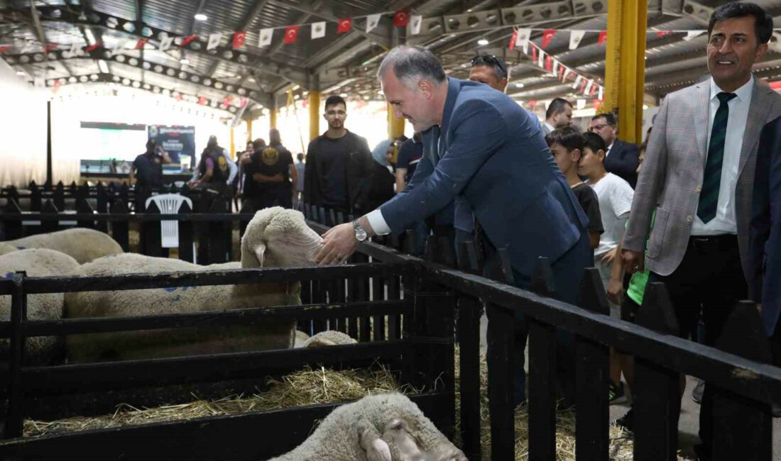 İNEGÖL BELEDİYESİ’NİN BU YIL 3’ÜNCÜSÜNÜ GERÇEKLEŞTİRDİĞİ ULUSLARARASI KÜÇÜKBAŞ HAYVANCILIK FESTİVALİ