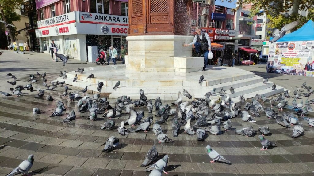 O ıslattı güvencinler dakikalarca banyo yaptı BURSA’DA BİR VATANDAŞ MEYDANDA BULUNAN ÇEŞMENİN MUSLUĞUNDAN GÜVERCİNLERİ SAATLERCE ISLATTI.