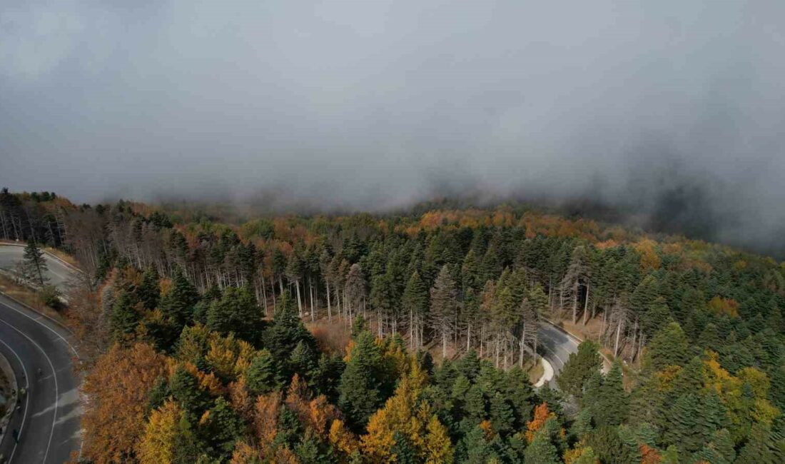 Kış turizminin önemli merkezlerinden biri olan Uludağ, sonbaharda da güzelliğiyle