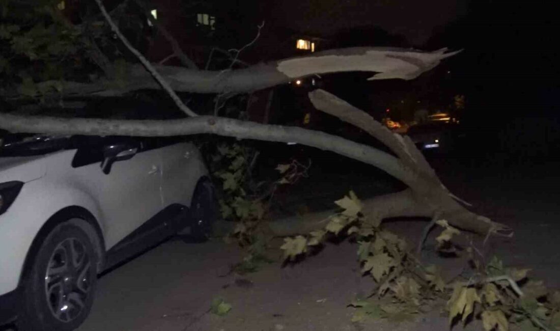 BURSA’DA GECE SAATLERİNDE ETKİSİNİ ARTIRAN LODOS, KÜKÜRTLÜ MAHALLESİ’NDE BİR AĞACI
