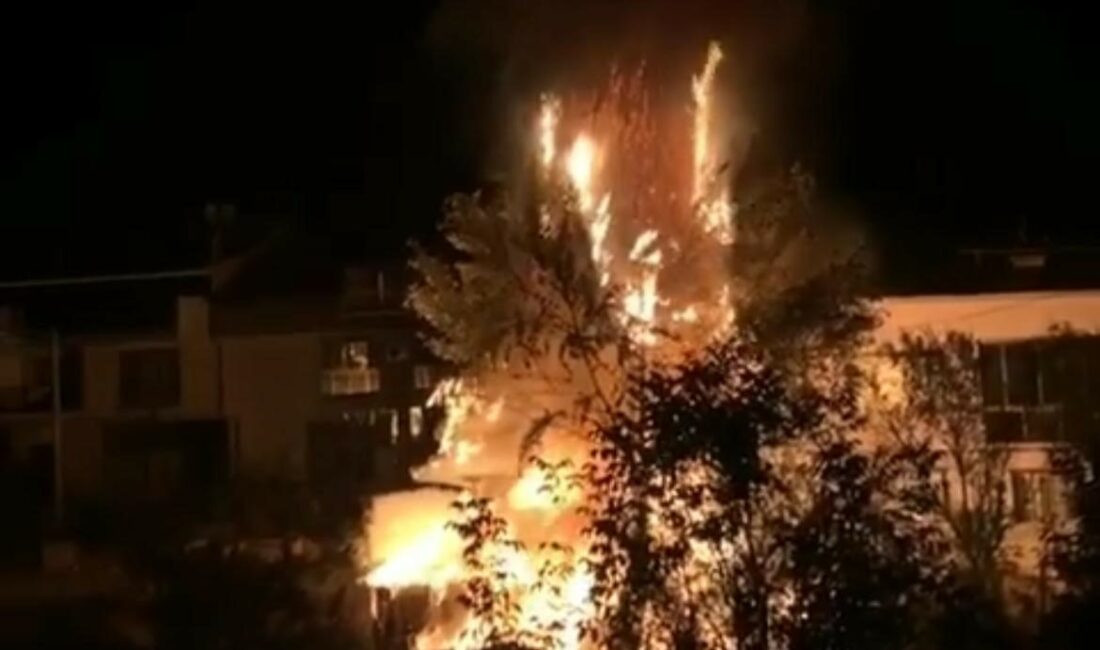 Bursa’da ağaçlık alanda çıkan yangın korkuttu Bursa’da ağaçlık alanda yangın çıktı. Korku dolu anlar yaşatan alevler