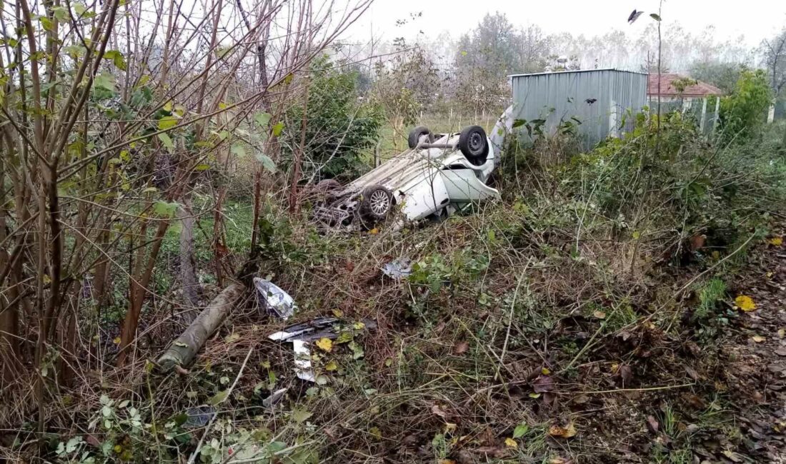 Bursa’da baba oğul kazada yaralandı BURSA'NIN İNEGÖL İLÇESİNDE MEYDANA GELEN KAZADA DİREĞE ÇARPAN OTOMOBİL TARLAYA