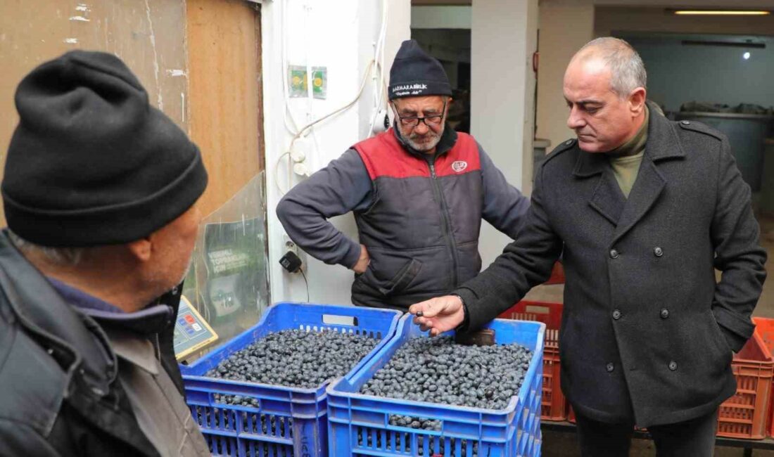 GEMLİK BELEDİYE BAŞKANI MEHMET UĞUR SERTASLAN ÇİFTÇİLER İÇİN ÇALIŞMAYA DEVAM