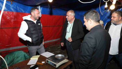 TÜRKİYE’NİN EN KALİTELİ SOFRALIK ZEYTİNİ OLAN GEMLİK ZEYTİNİNDE HASAT DÖNEMİ