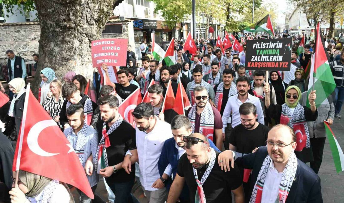 AK PARTİ BURSA İL GENÇLİK KOLLARI, İL VE İLÇE YÖNETİM