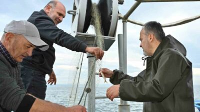 BURSA’DA KIRSAL KALKINMA HEDEFLERİYLE BUGÜNE KADAR TARIMSAL VE HAYVANSAL ÜRETİME