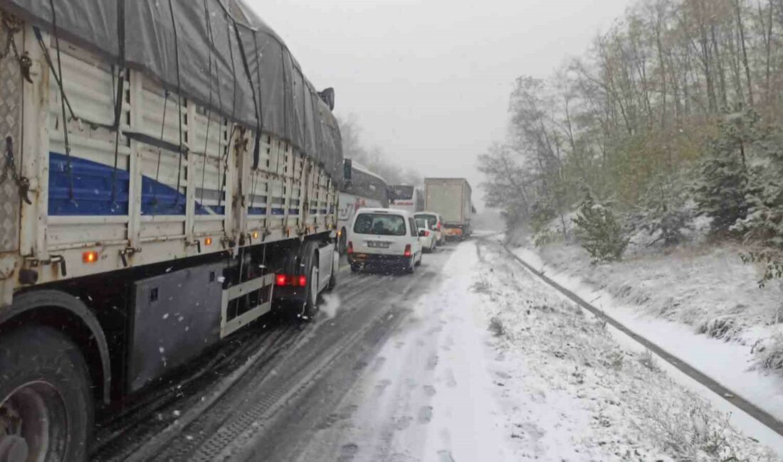 BURSA'NIN KESTEL İLÇESİNİN YÜKSEK KESİMLERİNDE ETKİLİ OLAN KAR YAĞIŞI SEBEBİYLE,