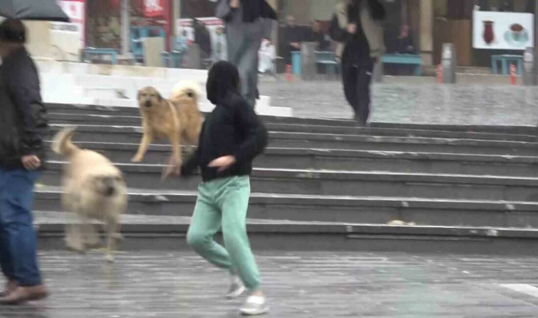 Bursa’da sağanak yağış etkili oldu, yarın kar geliyor BURSA’DA ETKİLİ OLAN SAĞANAK YAĞIŞ HAYATI OLUMSUZ ETKİLEDİ.