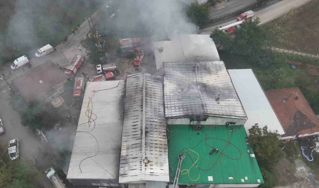 Bursa’da sünger imalat ve depolama tesisi alev alev yandı BURSA’DA SÜNGER İMALAT VE DEPOLAMA TESİSİ ALEV ALEV YANDI. O