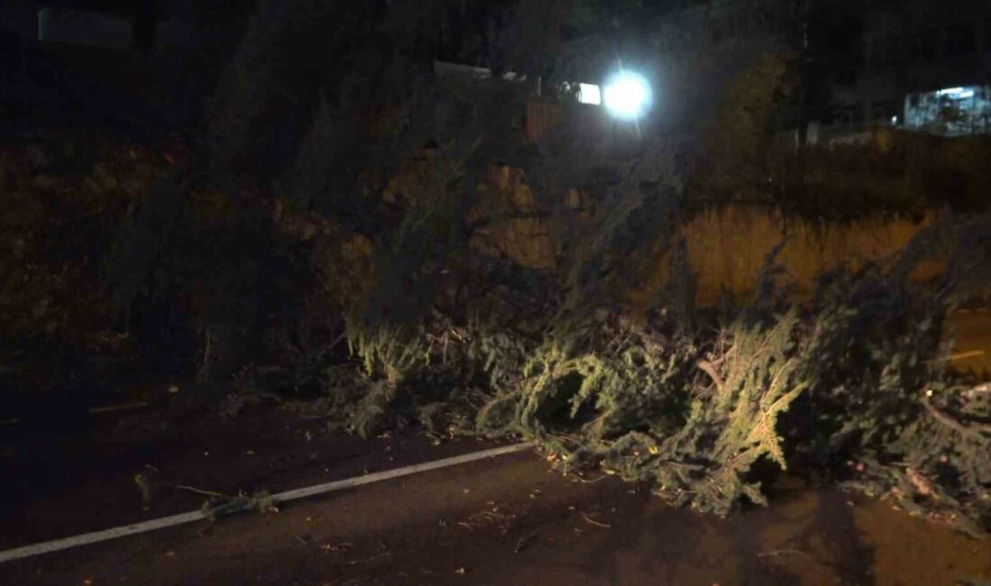 Fırtına Bursa’yı yıktı geçti…Otobüsün üzerine uçan çatı 2 yolcuyu yaraladı BURSA'DA AKŞAM SAATLERİNDE ETKİSİNİ ARTTIRAN VE SAATTEKİ HIZI 80 KİLOMETREYE