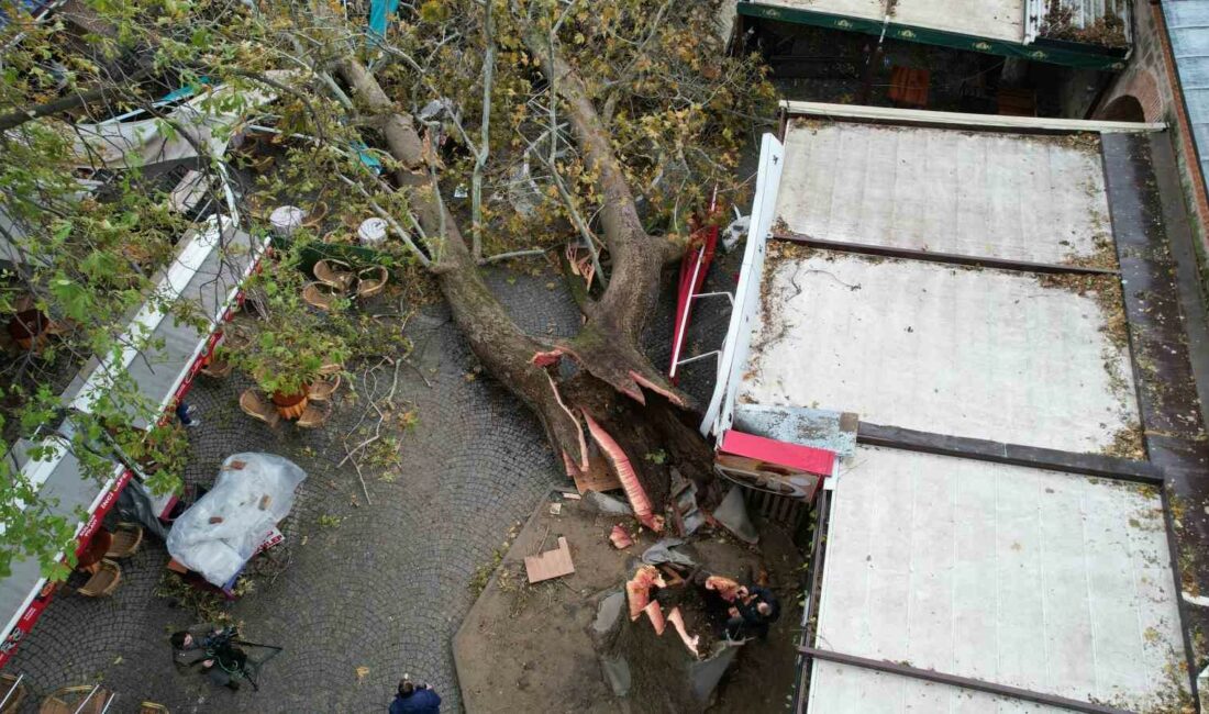 Fırtınaya dayanamayan 250 yıllık çınar dron ile görüntülendi BURSA'DA SAATTEKİ HIZI 100 KİLOMETREYE ULAŞAN ŞİDDETLİ FIRTINA TARİHİ KOZAHAN'DAKİ