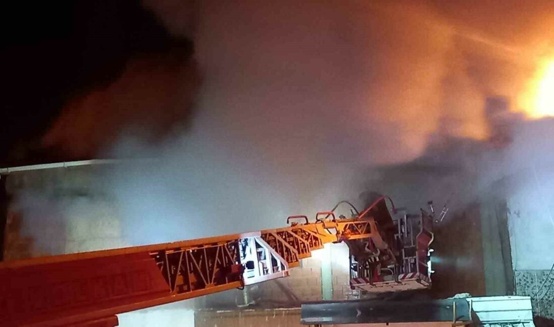 Gemlik’te ev yangını GEMLİK ŞAHİNYURDU KÖYÜNDE ÇIKAN YANGINDA FACİADAN DÖNÜLÜRKEN, YANGINDA MADDİ ZARAR