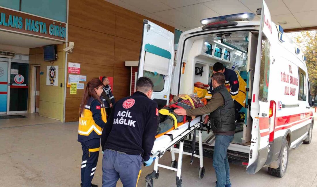 İnegöl’de çatıdan düşen adam ağır yaralandı BURSA'NIN İNEGÖL İLÇESİ KIRSAL MEZİT MAHALLESİNDE MEYDANA GELEN OLAYDA ÇATIDAN