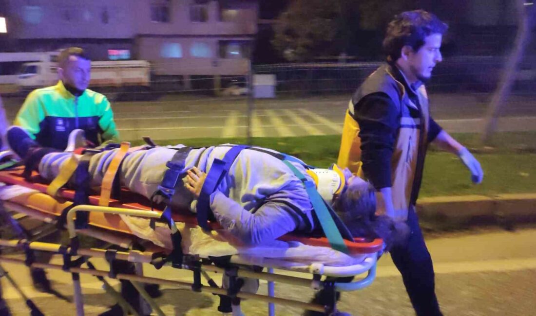 Bursa’da kamyonet ana yoldan karşıya geçmek isteyen anne kıza çarptı ORHANGAZİ’DE ANA YOL ÜZERİNDE MEYDANA GELEN TRAFİK KAZASINDA KARŞIDAN KARŞIYA