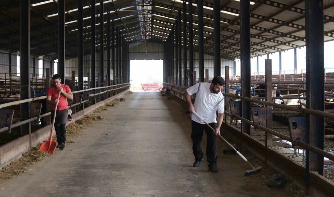 Kendi kendine yeten çiftlik kurdular, ucuz etin formülünü buldular KENDİ KENDİNE YETEN ÇİFTLİKTE ÜRETİLEN HİÇBİR ÜRÜN İSRAF OLMAZKEN, MALİYET