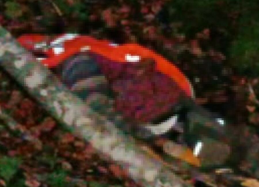 Bursa’da kestiği ağacın altında kalan işçi öldü Bursa’nın İnegöl ilçesinde ormanlık alanda kestiği ağacın altında kalan işçi