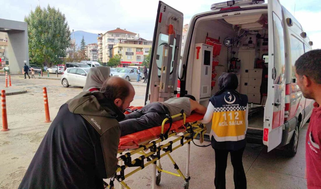 BURSA'NIN İNEGÖL İLÇESİ MAHMUDİYE MAHALLESİNDE MEYDANA GELEN OLAYDA KÖPEĞİN