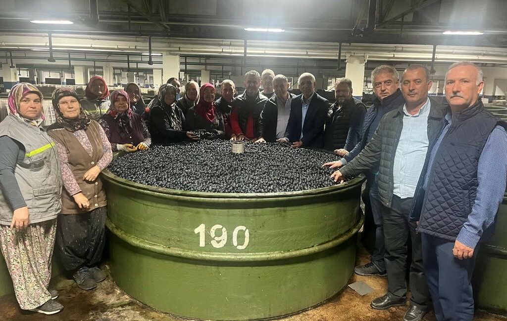 MARMARABİRLİK 10 KASIM 2023 CUMA GÜNÜ ORTAKLARINA 137 MİLYON TL