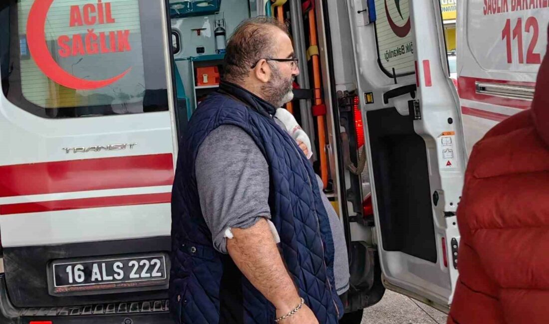 Meyve keserken elini kesti BURSA'NIN İNEGÖL İLÇESİ KEMALPAŞA MAHALLESİNDE MEYDANA GELEN OLAYDA MEYVE KESERKEN