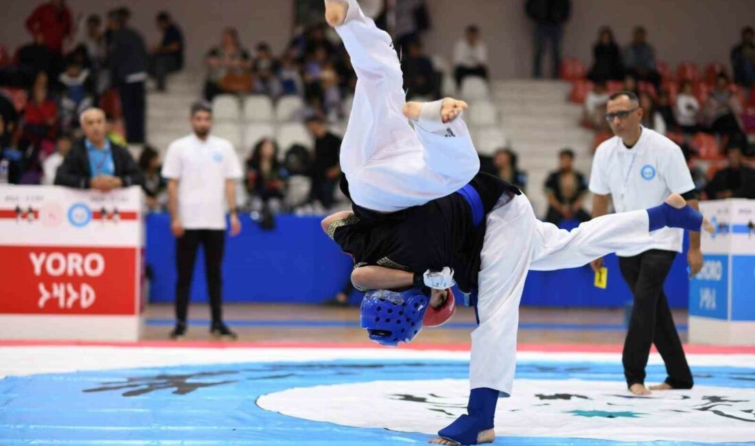 Mudanya’da alpagut rüzgarı esti 2023 ALPAGUT TÜRKİYE ŞAMPİYONASI, ÇEŞİTLİ İLLERDEN GELEN 250 SPORCUNUN KATILIMIYLA