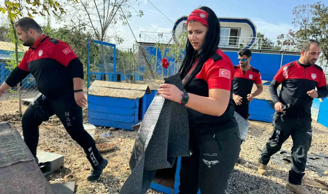 NAK köpek kulübelerini onardı NAK (NİLÜFER ARAMA KURTARMA) EKİBİ HEPAD (HER EVE BİR PATİ