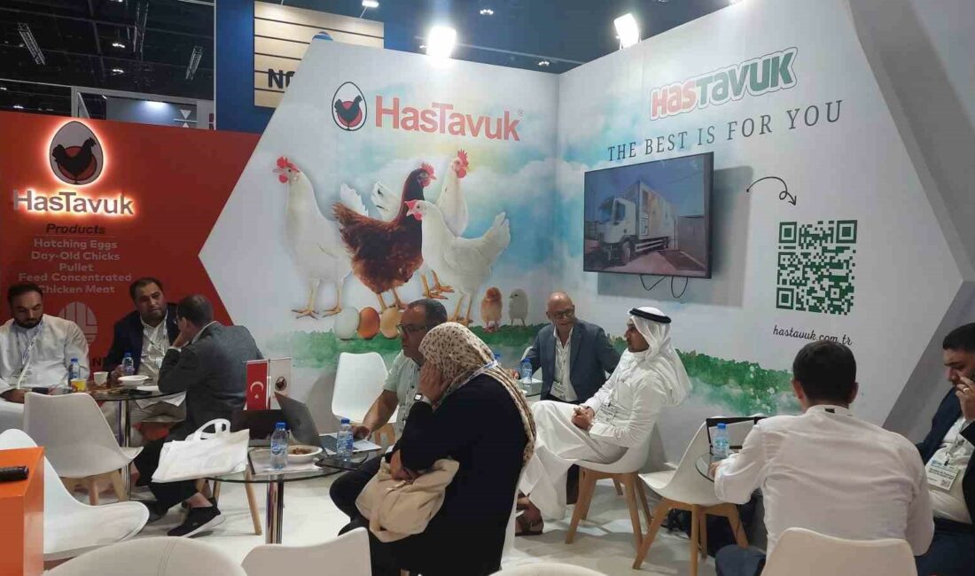 BİRLEŞİK ARAP EMİRLİKLERİNİN BAŞKENTİ ABU DABİ'DE ORGANİZE EDİLEN DÜNYANIN EN