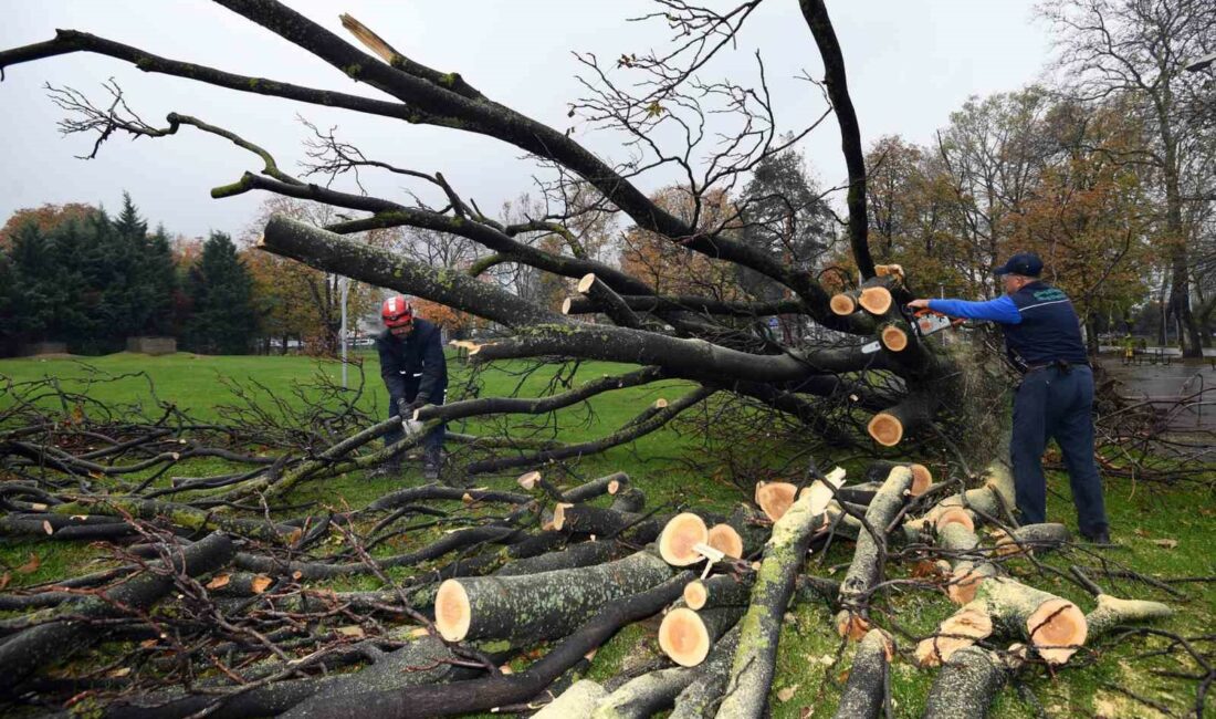 Osmangazi’de lodosun yıktıkları temizleniyor BURSA’YI İKİ GÜN BOYUNCA ETKİSİ ALTINA ALAN KUVVETLİ LODOS, ÖZELLİKLE