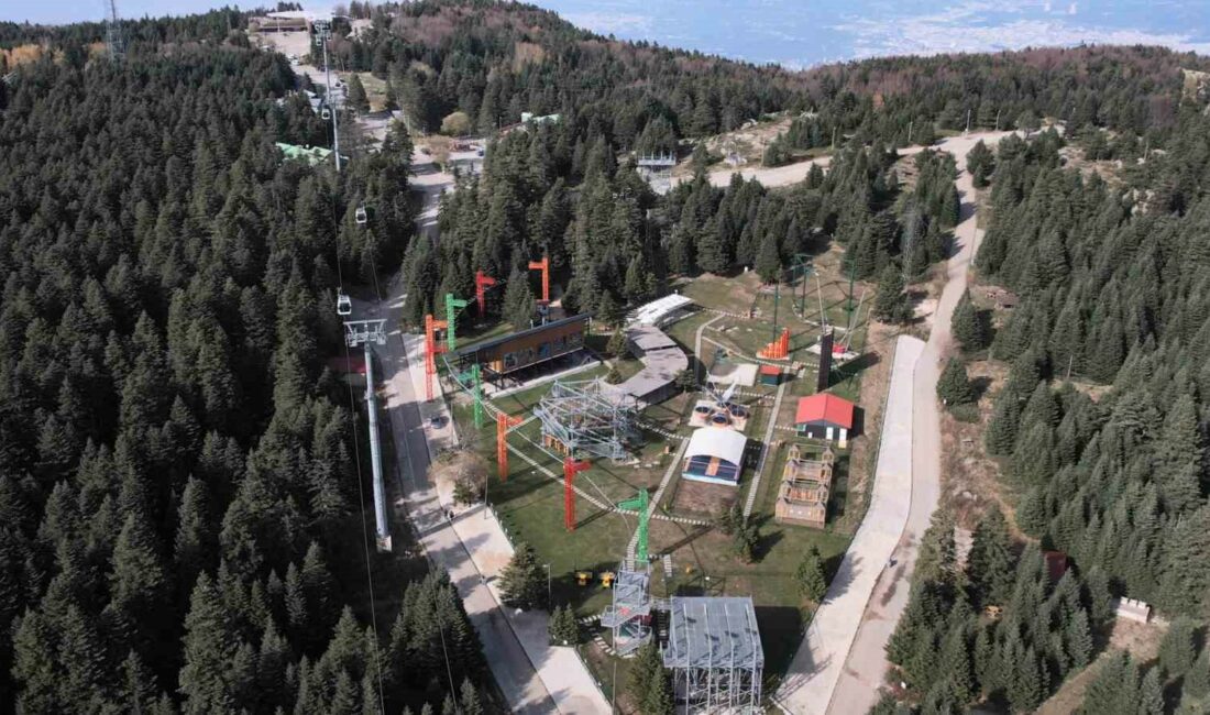 TÜRKİYE'NİN KIŞ TURİZM MERKEZİ ULUDAĞ’DA ORMANDA AÇ KALAN AYILAR, YAVRULARIYLA