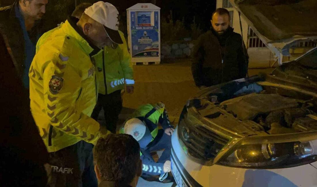 Polisin dikkati kediyi ölümden kurtardı BURSA'NIN İNEGÖL İLÇESİNDE UYGULAMA YAPAN POLİS EKİPLERİNİN DİKKATİ ÜZERİNE DURDURULAN