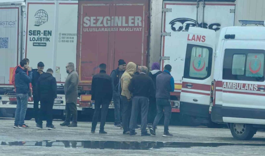 Bursa’da Tacikistan uyruklu sürücü tır sürücüsünün şüpheli ölümü Bursa’nın İnegöl ilçesinde Tacikistan uyruklu sürücü, kullandığı tırın içinde ölü