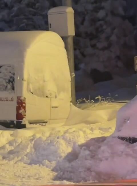 ULUDAĞ’DA KIŞ UYKUSUNA YATMAKTA GEÇ KALAN AYILAR, OTELLER BÖLGESİNE KADAR