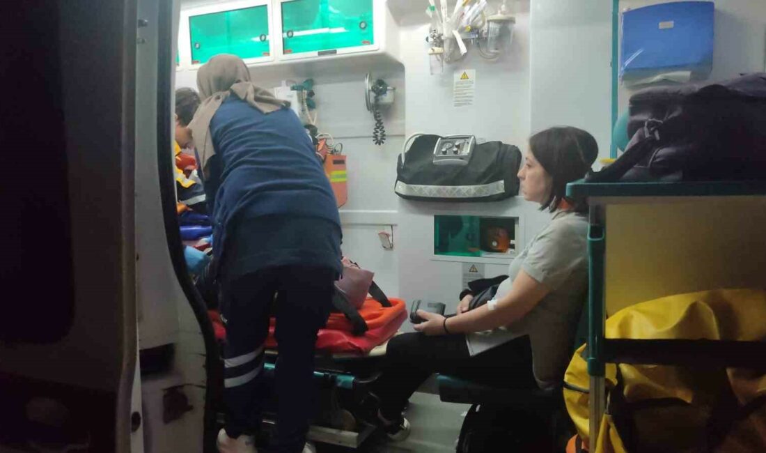 Zincirleme trafik kazasında 3 araç birbirine girdi: 3 yaralı ORHANGAZİ’YE BAĞLI AKHAREM KAVŞAĞINDA MEYDANA GELEN VE 2 OTOMOBİL İLE