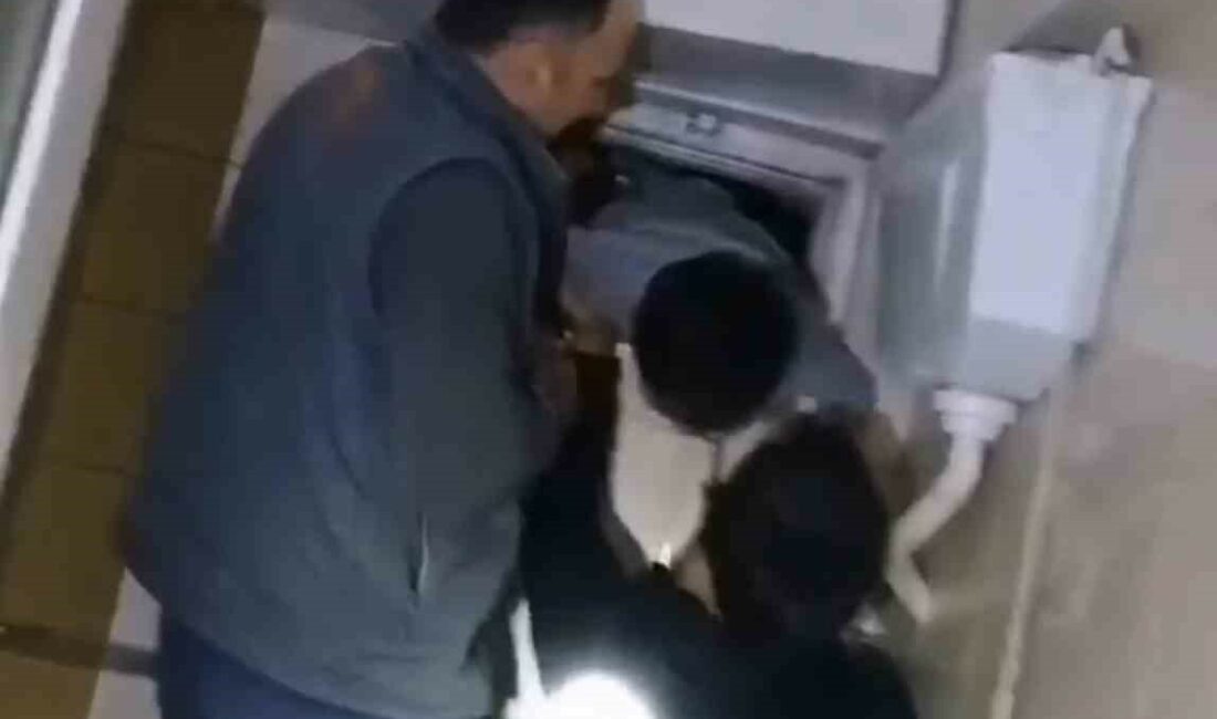 Bursa’da havalandırmadaki yavru kediyi 8 yaşındaki çocuk kurtardı BURSA'NIN İNEGÖL İLÇESİNDE BİR APARTMANIN HAVALANDIRMA BOŞLUĞUNDA MAHSUR KALAN YAVRU