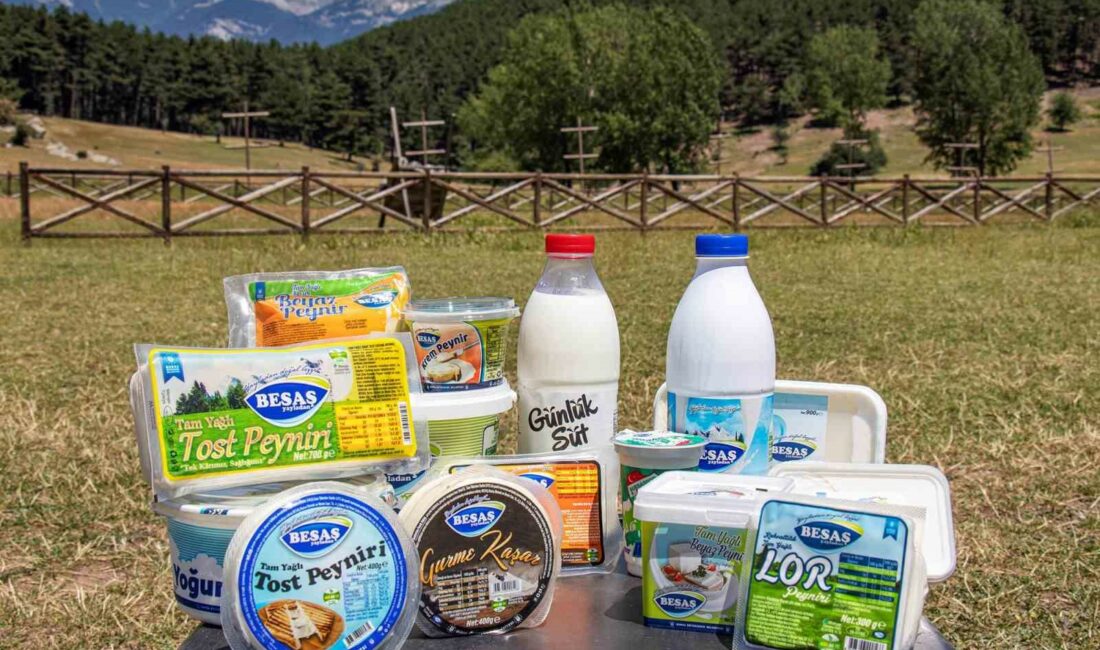 BURSA BÜYÜKŞEHİR BELEDİYESİ İŞTİRAKLERİNDEN BESAŞ, 2023 YILINDA DA SÜT ÜRETİCİSİ
