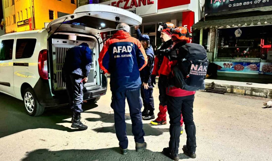 Bursa’da kaybolan engelli için arama çalışmaları başlatıldı BURSA'NIN GEMLİK İLÇESİNDE ÖĞLE SAATLERİNDEN EVDEN AYRILAN ENGELLİ GENÇ İÇİN