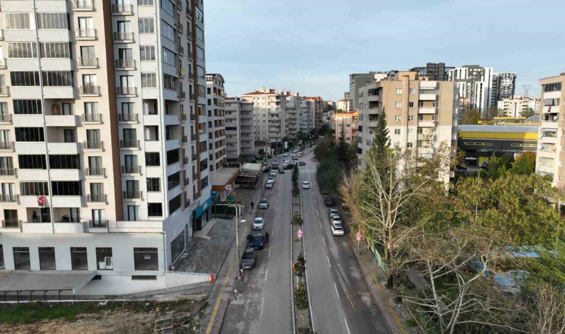 Bursa’da manolya ağaçları caddeleri süsledi BURSA BÜYÜKŞEHİR BELEDİYESİ, ANA CADDE VE BULVARLARDAKİ REFÜJLERİ, HERDEM YEŞİL