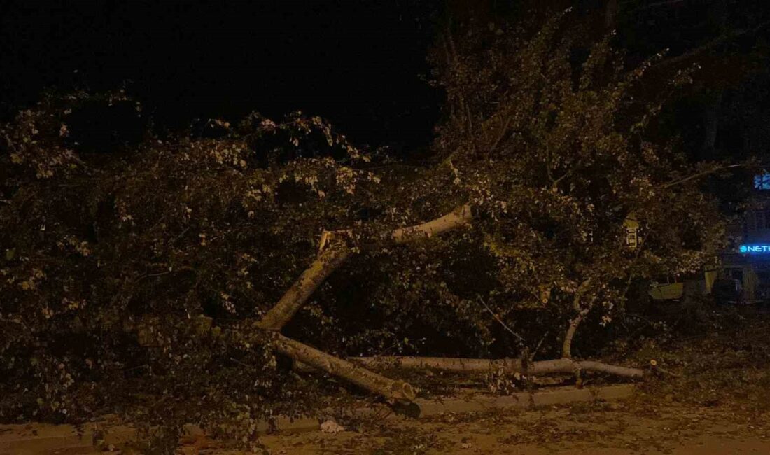 BURSA'NIN İNEGÖL İLÇESİNDE GECE SAATLERİNDE ETKİSİNİ ARTIRAN LODOS 200 YILLIK