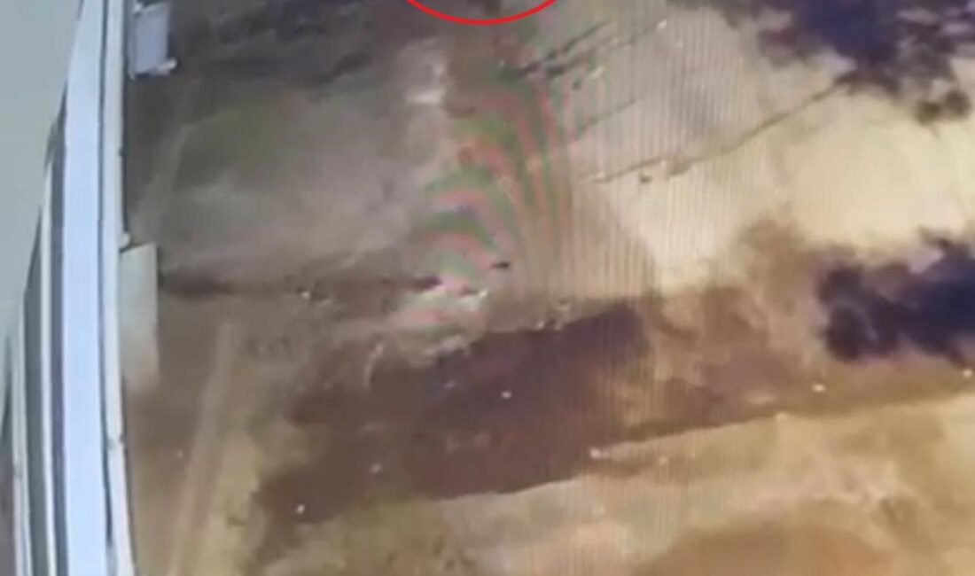 Çöp kovası hırsızı kamerada BURSA’DA BİR ŞÜPHELİ, YÜRÜDÜĞÜ ESNADA YOL KENARINDA DURAN ÇÖP KOVASINA