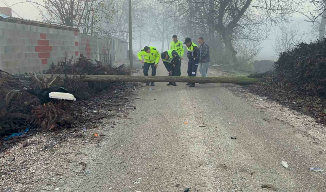Bursa’da devrilen direğe çarpan motosikletli yaralandı Bursa’nın İnegöl ilçesinde yol üzerine devrilen enerji nakil hattı direğine