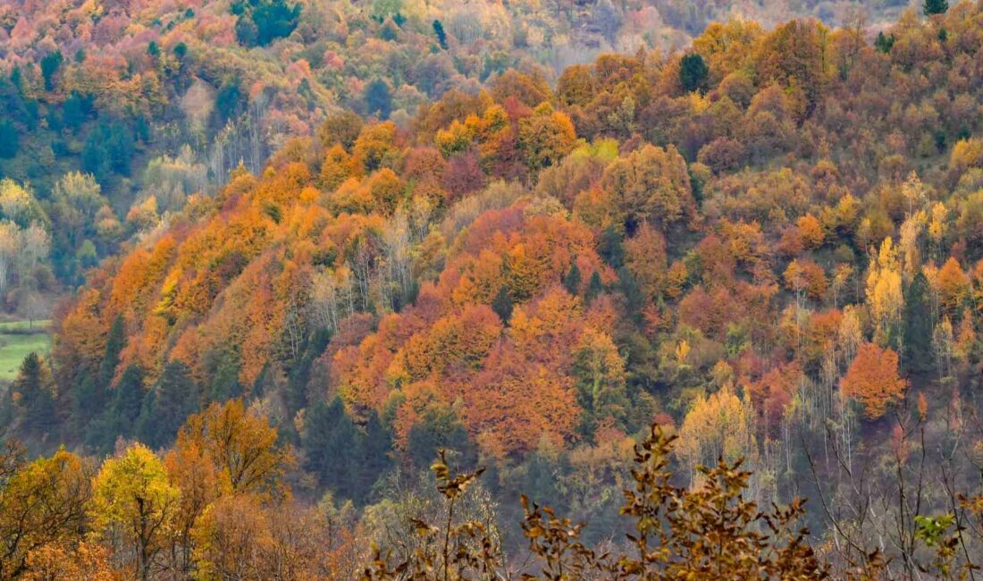 Güz güzeli İnegöl BURSA’NIN İNEGÖL İLÇESİNDE DAĞLARDA YAŞANAN KIŞ, OVALARDA DA SONBAHAR MANZARALARI