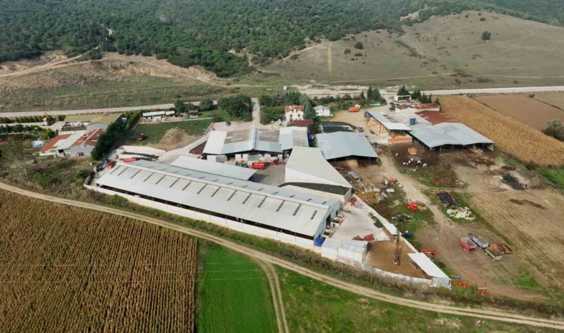 ELEKTRİK ELEKTRONİK MÜHENDİSİ İKİ KARDEŞ 8 YIL ÖNCE ALDIKLARI KARARLA