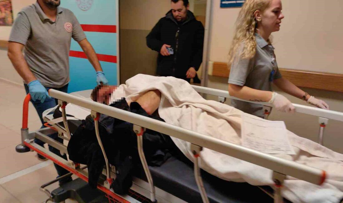 Kaldırım taşıyla darp edildi, başka suçtan tutuklandı BURSA'NIN İNEGÖL İLÇESİ OSMANİYE MAHALLESİ'NDE MEYDANA GELEN OLAYDA BERABER ALKOL