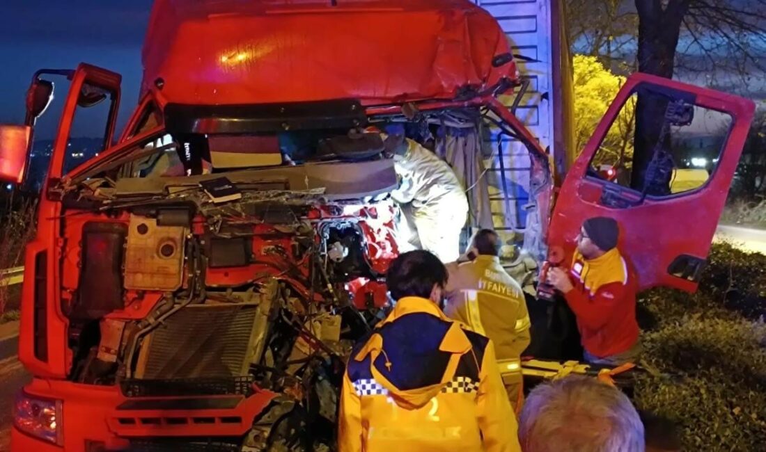 BURSA'NIN İNEGÖL İLÇESİNDE MEYDANA GELEN KAZADA KONTROLDEN ÇIKAN TIR, AĞACA