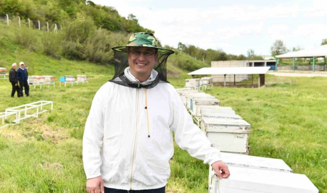 Mustafakemalpaşa tarımda en bereketli dönemini yaşıyor 142 YILLIK BELEDİYE TARİHİNDE İLK TARIMSAL HİZMETLER MÜDÜRLÜĞÜ KURARAK İLKE